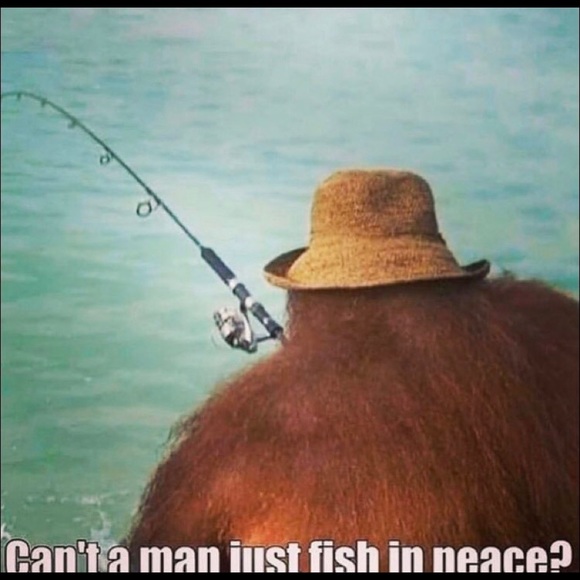 Meet your Posher, A - Picture 1 of 1